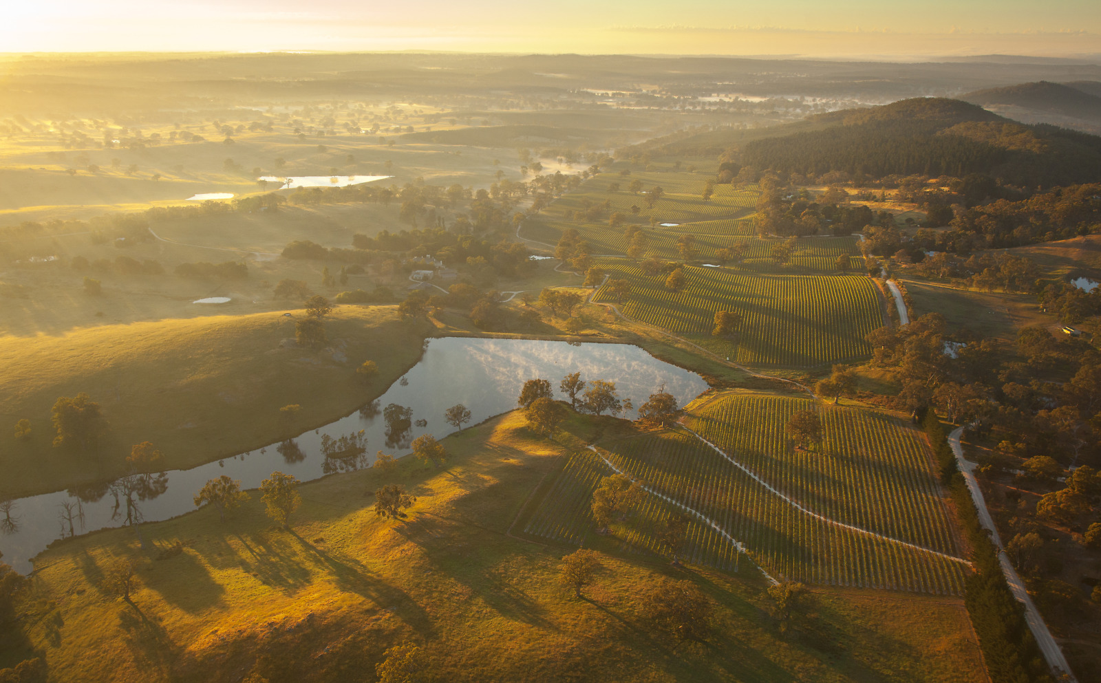 Grant Burge vineyard